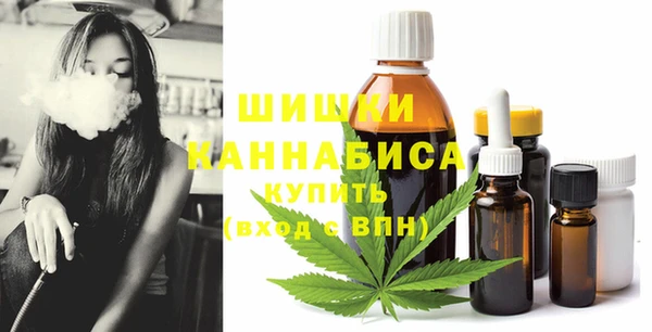 ALPHA-PVP Пионерский