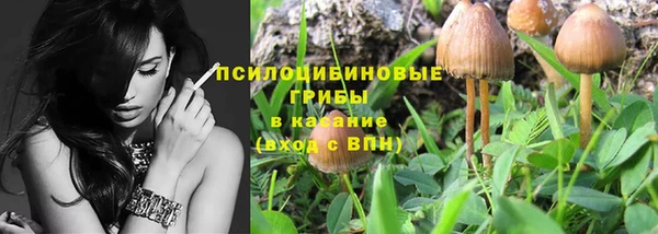 прущие крисы Протвино