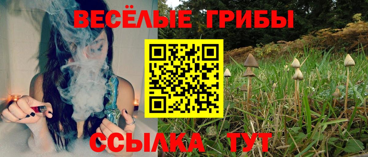 Галлюциногенные грибы MAGIC MUSHROOMS  Урус-Мартан 