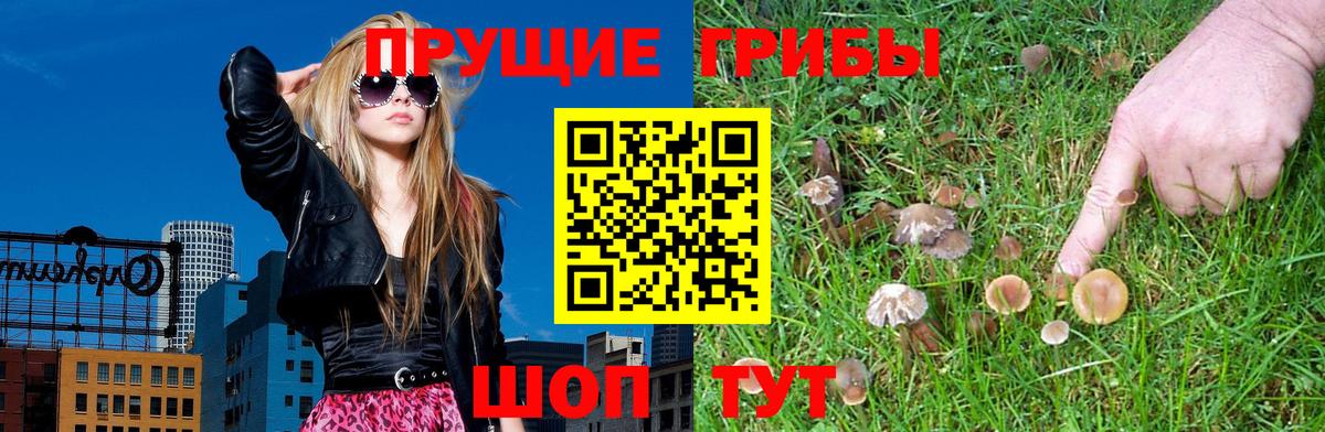 Псилоцибиновые грибы Psilocybine cubensis  Вход с VPN  Урус-Мартан  где продают   Галлюциногенные грибы Magic Shrooms 